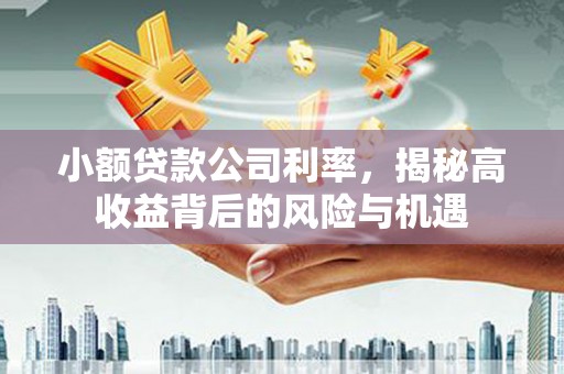 蕲春小额贷款公司利率，揭秘高收益背后的风险与机遇