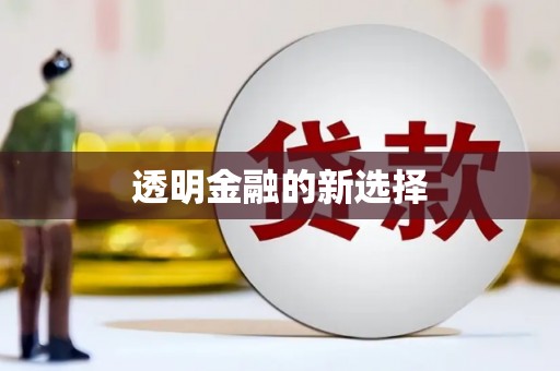 蕲春透明金融的新选择