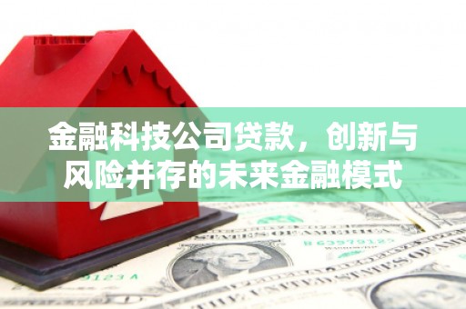 蕲春金融科技公司贷款，创新与风险并存的未来金融模式