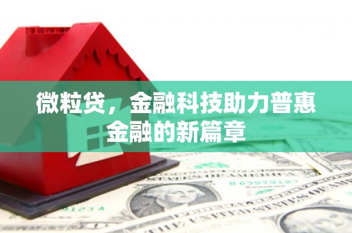 蕲春微粒贷，金融科技助力普惠金融的新篇章