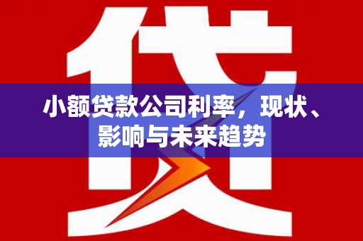 蕲春小额贷款公司利率，现状、影响与未来趋势
