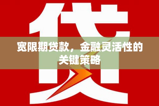 蕲春宽限期贷款，金融灵活性的关键策略