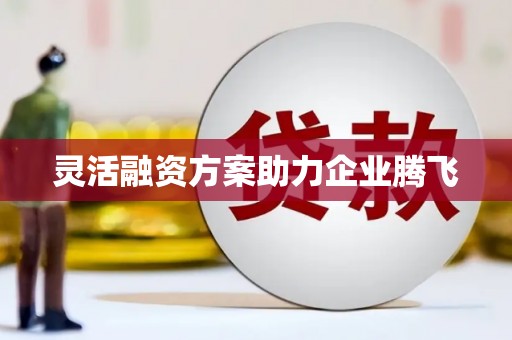 蕲春灵活融资方案助力企业腾飞