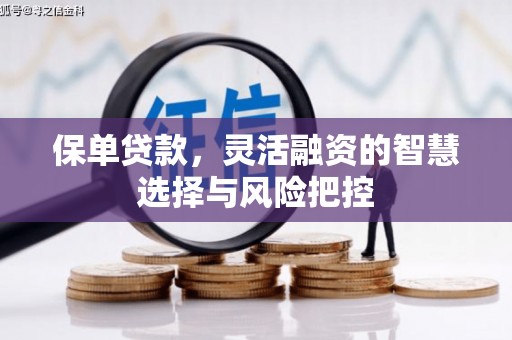 蕲春保单贷款，灵活融资的智慧选择与风险把控