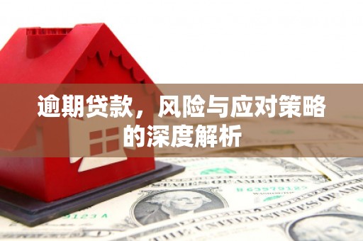 蕲春逾期贷款，风险与应对策略的深度解析