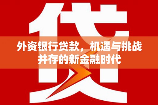 蕲春外资银行贷款，机遇与挑战并存的新金融时代