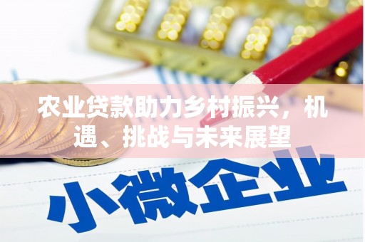 蕲春农业贷款助力乡村振兴，机遇、挑战与未来展望