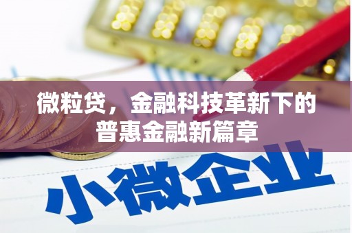 蕲春微粒贷，金融科技革新下的普惠金融新篇章