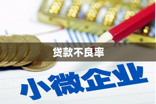蕲春贷款不良率