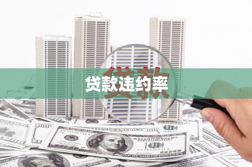 蕲春贷款违约率