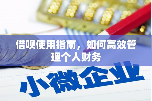蕲春借呗使用指南，如何高效管理个人财务