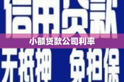 蕲春小额贷款公司利率