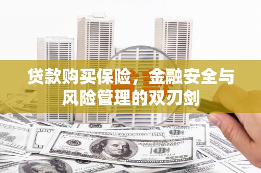 蕲春贷款购买保险，金融安全与风险管理的双刃剑