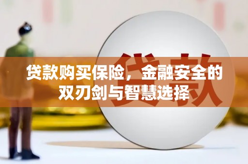 蕲春贷款购买保险，金融安全的双刃剑与智慧选择