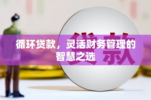 蕲春循环贷款，灵活财务管理的智慧之选