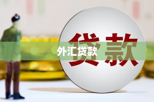 蕲春外汇贷款