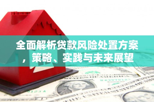 蕲春全面解析贷款风险处置方案，策略、实践与未来展望