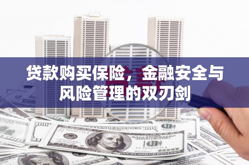 蕲春贷款购买保险，金融安全与风险管理的双刃剑