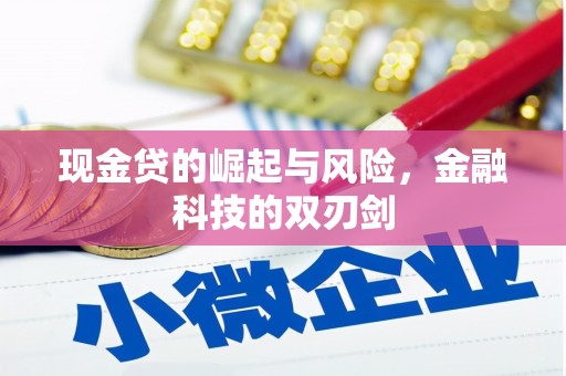 蕲春现金贷的崛起与风险，金融科技的双刃剑
