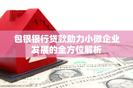 蕲春包银银行贷款助力小微企业发展的全方位解析