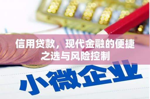 蕲春信用贷款，现代金融的便捷之选与风险控制