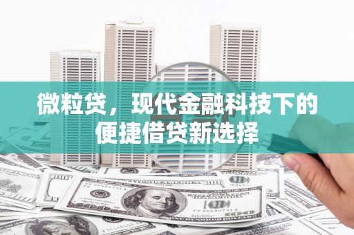 蕲春微粒贷，现代金融科技下的便捷借贷新选择