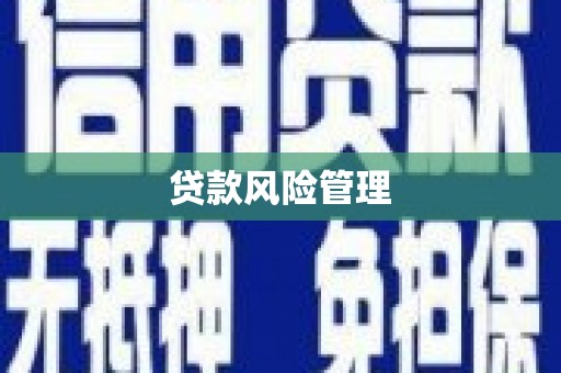 蕲春贷款风险管理