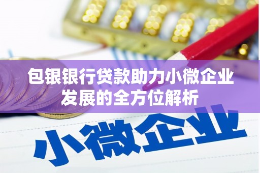 蕲春包银银行贷款助力小微企业发展的全方位解析