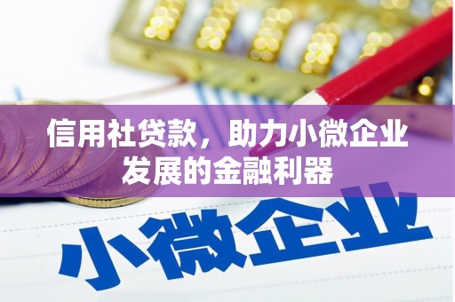 蕲春信用社贷款，助力小微企业发展的金融利器