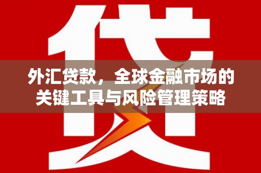 蕲春外汇贷款，全球金融市场的关键工具与风险管理策略