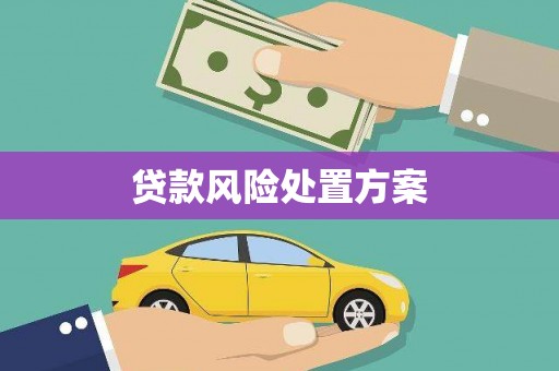 蕲春贷款风险处置方案