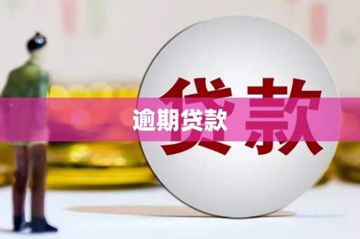 蕲春逾期贷款