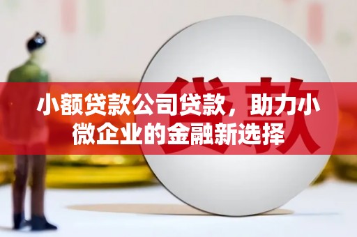 蕲春小额贷款公司贷款，助力小微企业的金融新选择