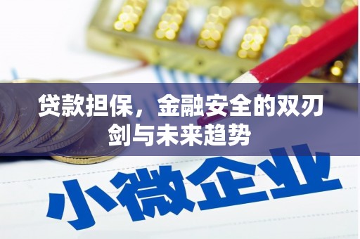 蕲春贷款担保，金融安全的双刃剑与未来趋势