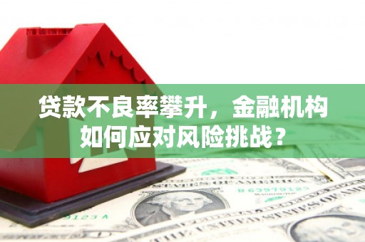 蕲春贷款不良率攀升，金融机构如何应对风险挑战？