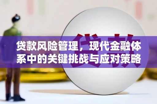 蕲春贷款风险管理，现代金融体系中的关键挑战与应对策略