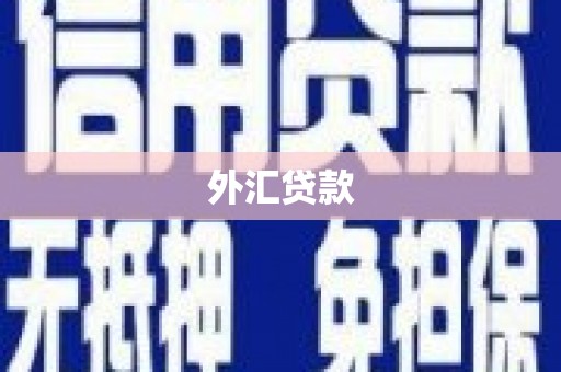 蕲春外汇贷款