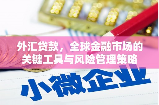 蕲春外汇贷款，全球金融市场的关键工具与风险管理策略
