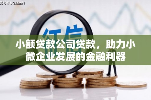 蕲春小额贷款公司贷款，助力小微企业发展的金融利器