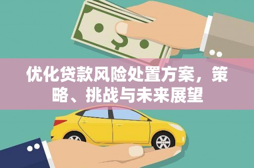 蕲春优化贷款风险处置方案，策略、挑战与未来展望