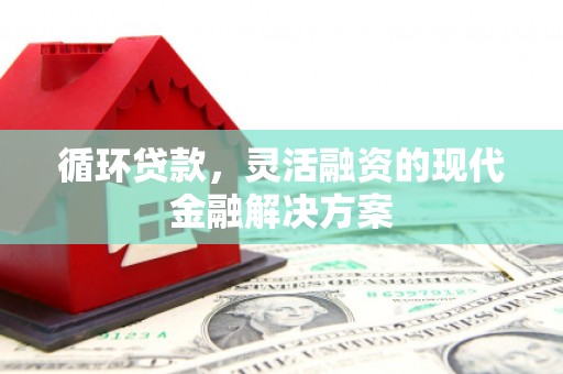 蕲春循环贷款，灵活融资的现代金融解决方案