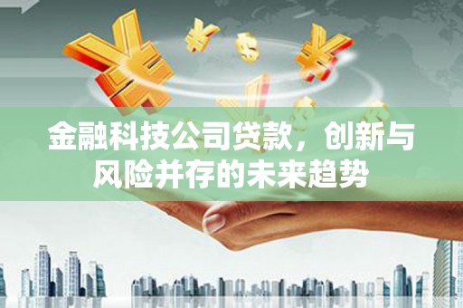 蕲春金融科技公司贷款，创新与风险并存的未来趋势