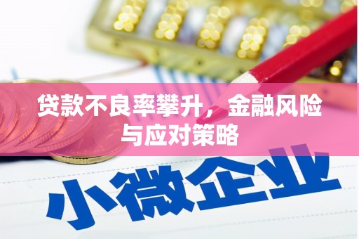 蕲春贷款不良率攀升，金融风险与应对策略