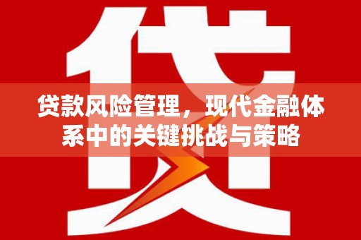 蕲春贷款风险管理，现代金融体系中的关键挑战与策略