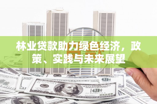 蕲春林业贷款助力绿色经济，政策、实践与未来展望
