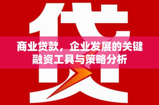 蕲春商业贷款，企业发展的关键融资工具与策略分析