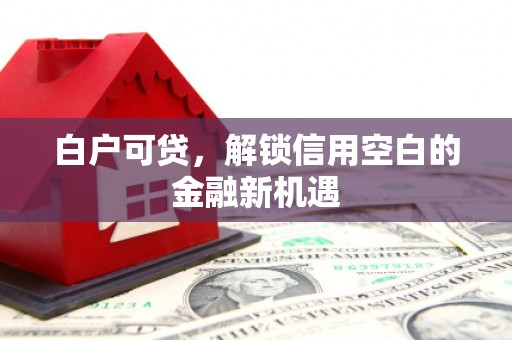 蕲春白户可贷，解锁信用空白的金融新机遇