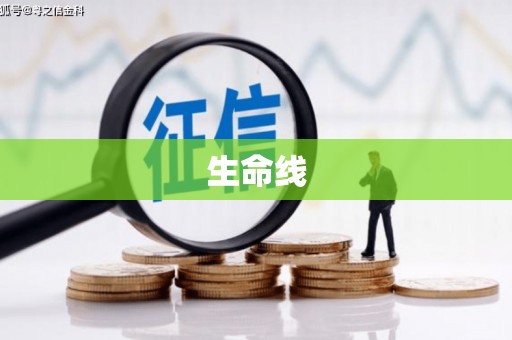 蕲春生命线
