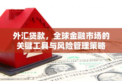 蕲春外汇贷款，全球金融市场的关键工具与风险管理策略