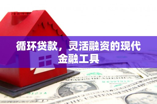 蕲春循环贷款，灵活融资的现代金融工具